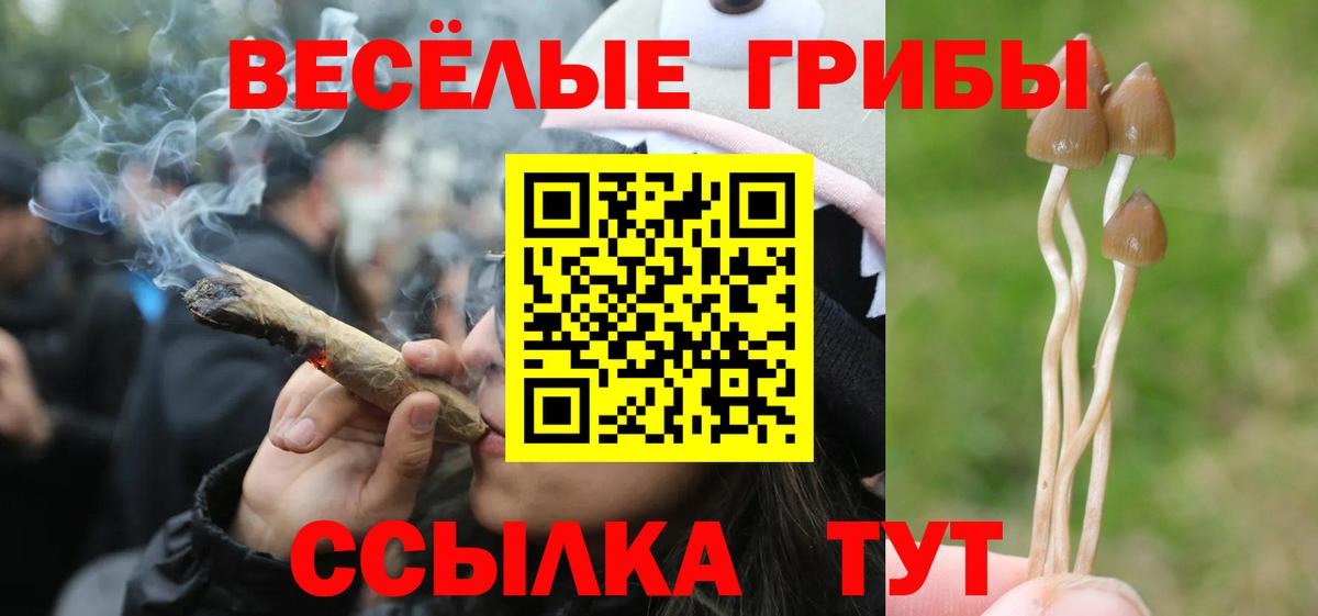 Псилоцибиновые грибы GOLDEN TEACHER Кулебаки