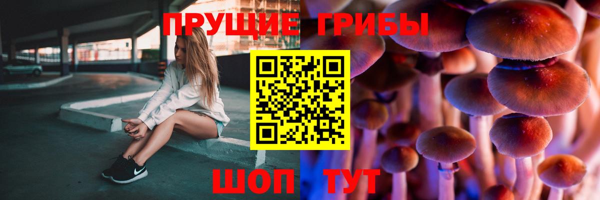 Кулебаки  Псилоцибиновые грибы Magic Shrooms  Вход с VPN 