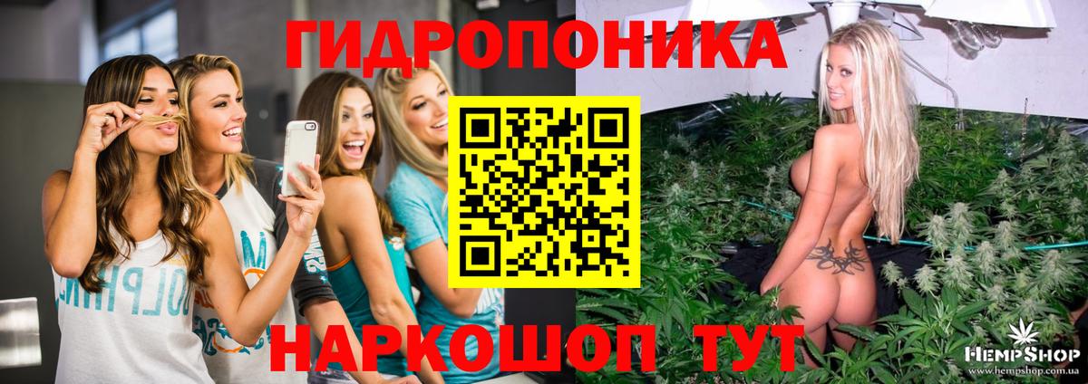 МАРИХУАНА сатива Кулебаки